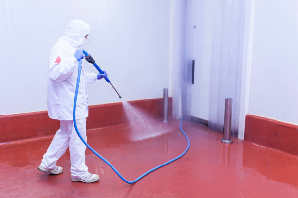 Best Soft Washing  in Indiana, PA